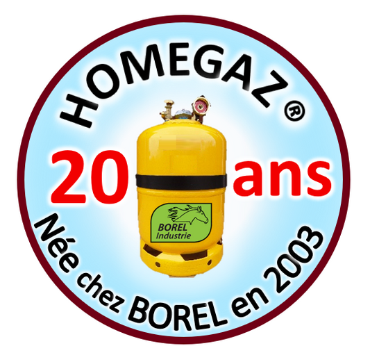 Cartouche filtrante papier pour filtre BOREL HOMEGAZ